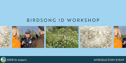 Birdsong ID Workshop- RSPB St Aidan's