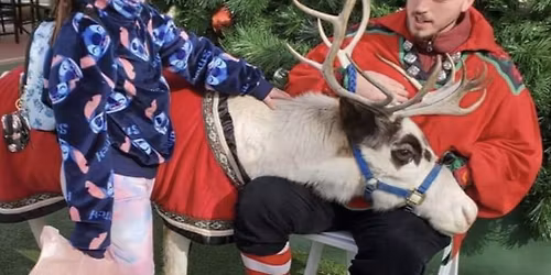 Reindeer Day at Perry Crossing