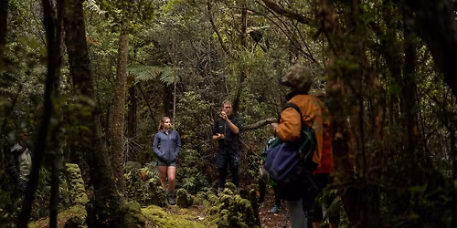 Fiordland History Adventure - January 2026