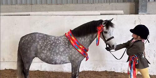 indoor arena winter woolies #4 inhand & Ridden by havana shows