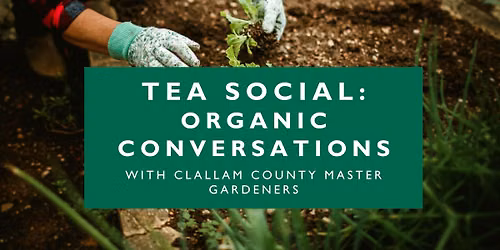 Tea Social: Organic Conversations with Clallam County Master Gardeners \u2013 Port Angeles Main Library