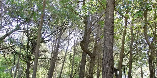 Rando \ud83d\ude1bresto \ud83d\ude0bno 7 \u00e0 \ud83d\udc49La Colle sur Loup 