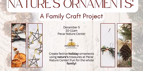 Nature's Ornament: A Family Craft Program