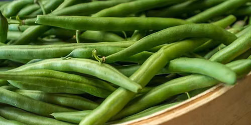 Annual Bean Pickers Dinner Dance