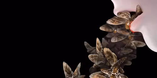 SILENCE OF THE LAMBS (35th Anniversary)