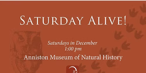 Saturday Alive!