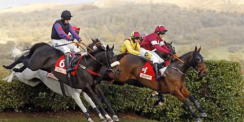 Cheltenham Countryside Day
