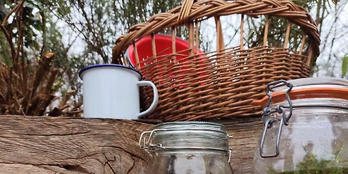 Wetland Wellbeing Workshop - Herbs and Teas