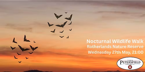 Nocturnal Wildlife Walk