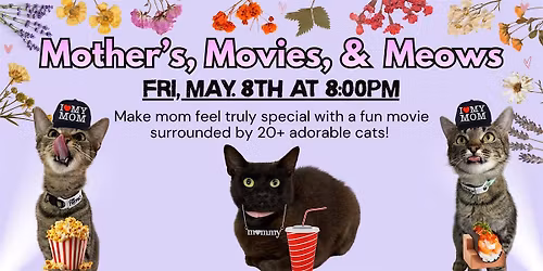 Mother's Day Movie Night with Cats