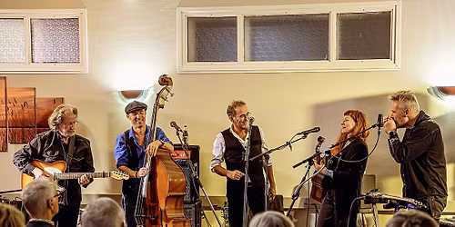 Tawny for a dollar in De Pul 