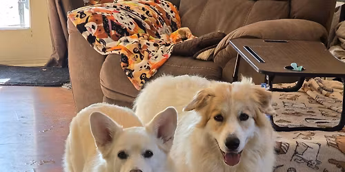 Customer Appreciation Day!