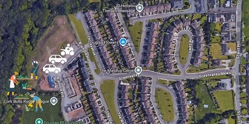 Douglas Tidy Towns April Work Party