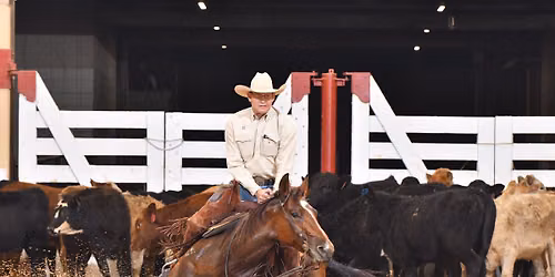 FWSSR NCHA Show