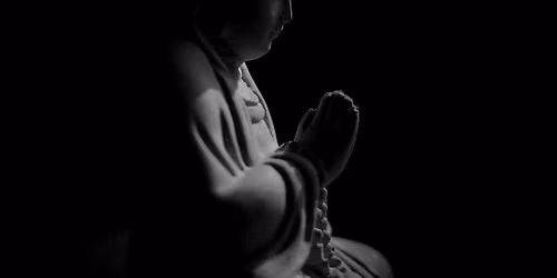 Half Day of Zen
