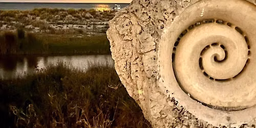 SACRED PULSE  Winter Solstice Half-Day Retreat