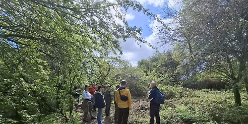 Amphibian Walk