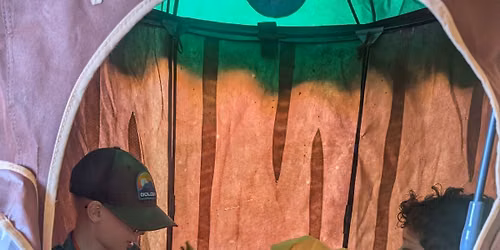 Magical Creatures Camp