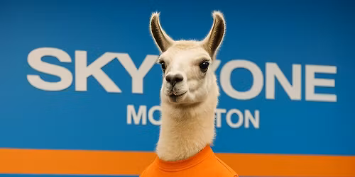 Llama\u2019palooza at Sky Zone