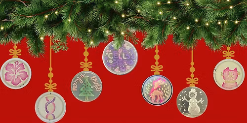 Make Holiday Ornaments: Agar & Micropipetting Art