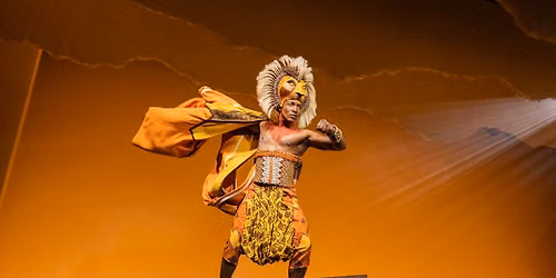 DISNEY\u2019S THE LION KING