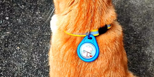 \u0e21\u0e39\u0e2b\u0e21\u0e32\u0e41\u0e21\u0e27 event