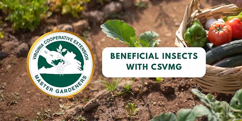 Beneficial Insects with Central Shenandoah Valley Master Gardeners