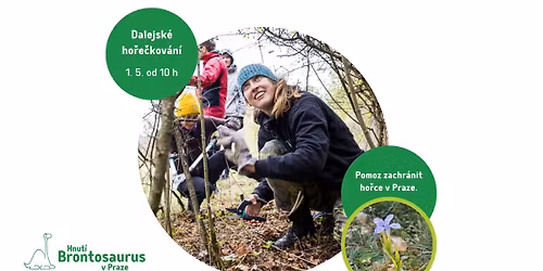 Dalejsk\u00e9 ho\u0159e\u010dkov\u00e1n\u00ed