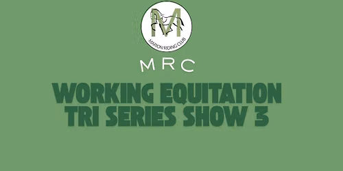 Working Equitation Tri series championship show 3
