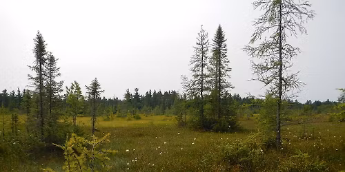 Hike the North Tahquamenon Wilderness