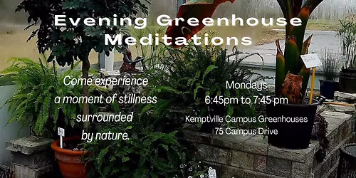Evening Greenhouse Meditations