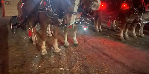 Persimmon Hill Holiday Hayride