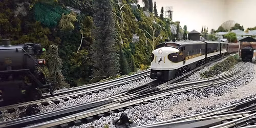 Medina toy and train show 