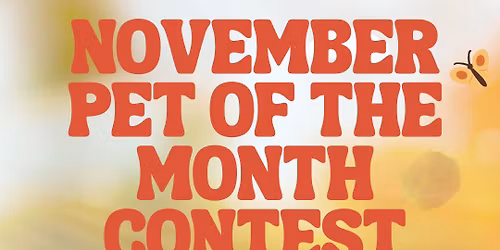 November Pet of the Month Contest