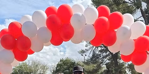 El Paso Walk to Defeat ALS at Album Park 