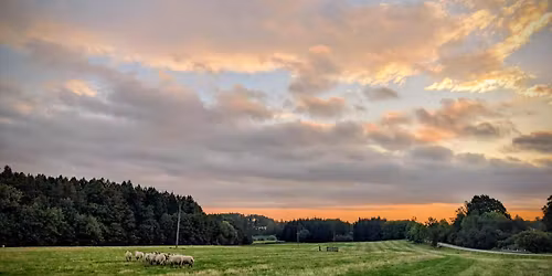 Podzimn\u00ed zkou\u0161ky Dajavera 30.11.2025