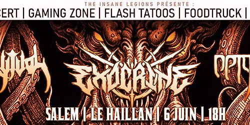 SOIREE ANNIVERSAIRE THE INSANE LEGIONS : EXOCRINE + RYTUAL + ORIGINES @ SALEM (33)