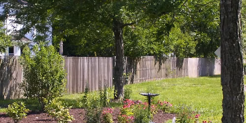 Charlestowne Garden Club Meeting