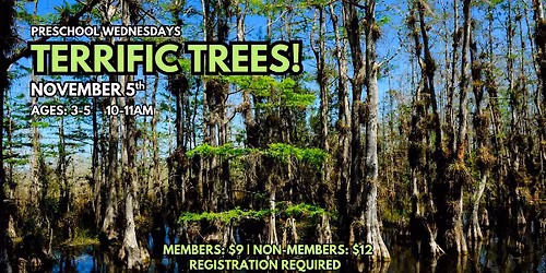 Preschool: Terrific Trees!