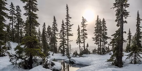 "A Winter Tapestry" - Concert for Family and Friends