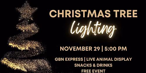 Christmas Tree Lighting