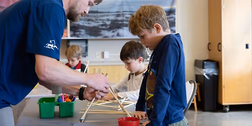 Engineer It!: Bridge Building