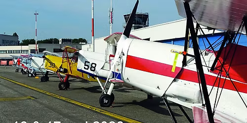 Stampe Forever Fly In