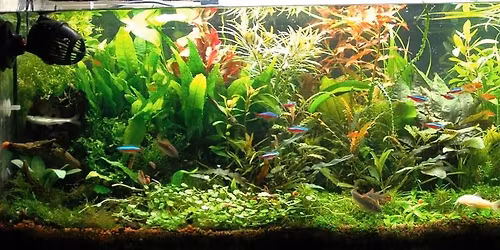 VI LUKKER F\u00d8RST D. 24 APRIL