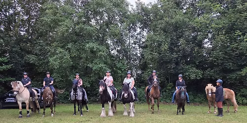 Rideferien uge 29-2026 \ud83d\udc34\ud83d\udc9a