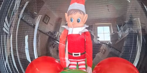 the Elve's are back!