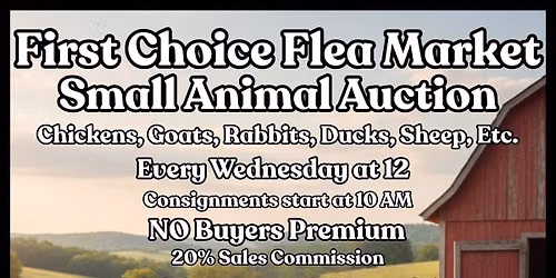 Small Animal Auction