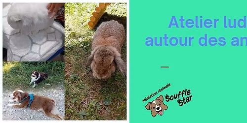 Atelier ludique autour des animaux