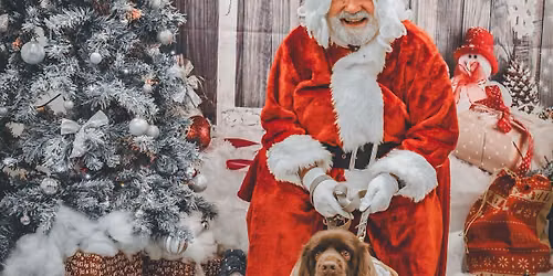 Santa Paws \ud83d\udc3e \ud83c\udf85 \ud83d\udc9a