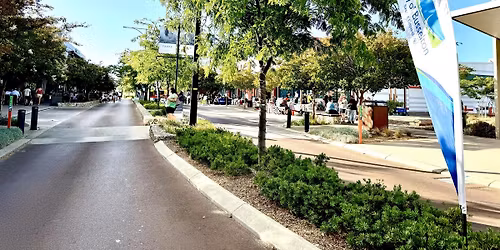 Lions Vasse Twilight Markets